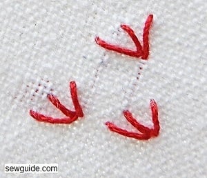 hand embroidery fern stitch